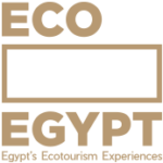 eco-egypt-footer-logo