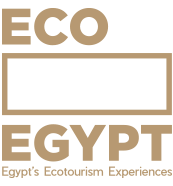 eco-egypt-footer-logo